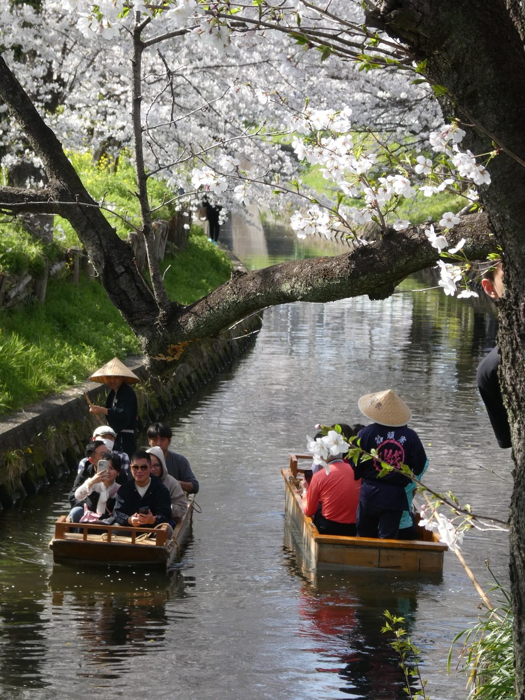 花見船のすれ違い