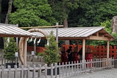鶴岡八幡宮の茅の輪くぐり