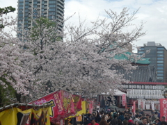 桜まつり