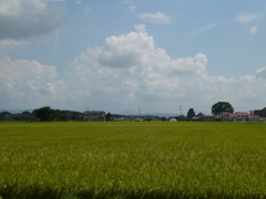 祖母井の田園風景