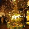 丸の内仲通りのクリスマスツリー(2)