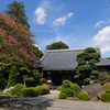 夏の残り香を漂わせて・・・