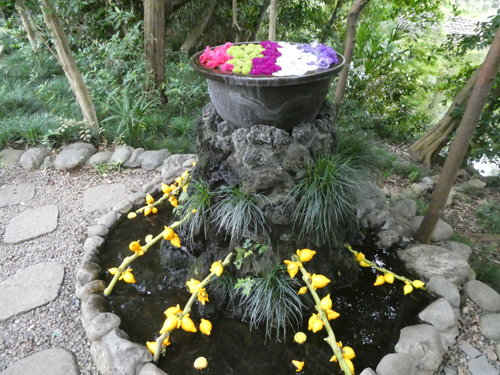 どこか神々しい・・・