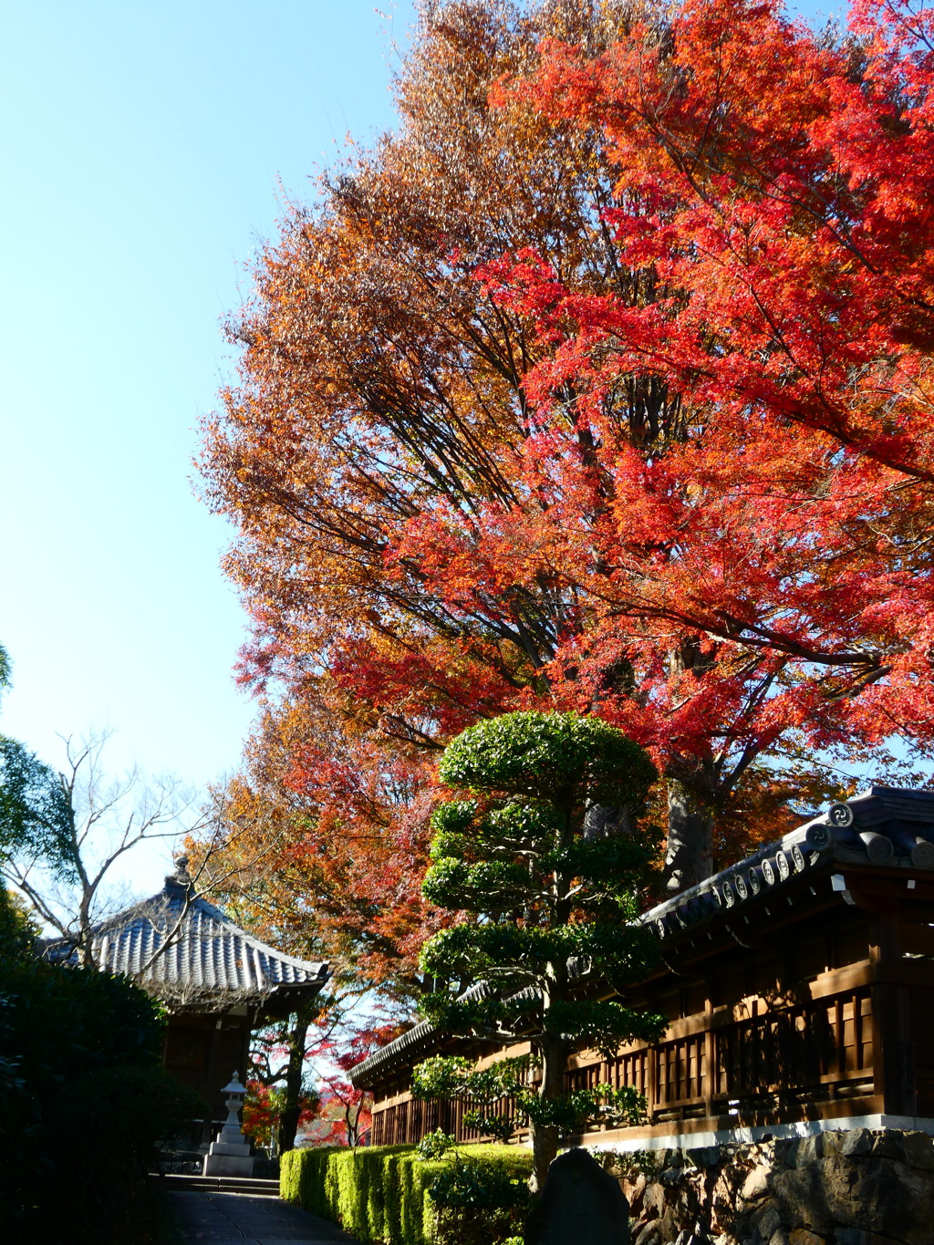 秋の能仁寺