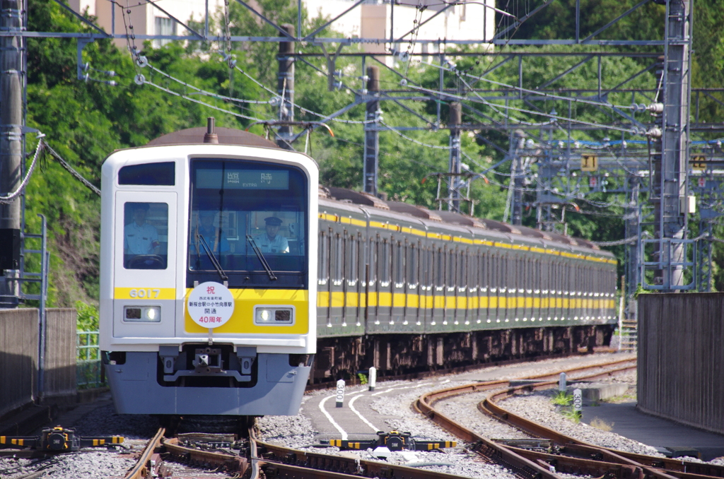 三便目は黄帯電車！