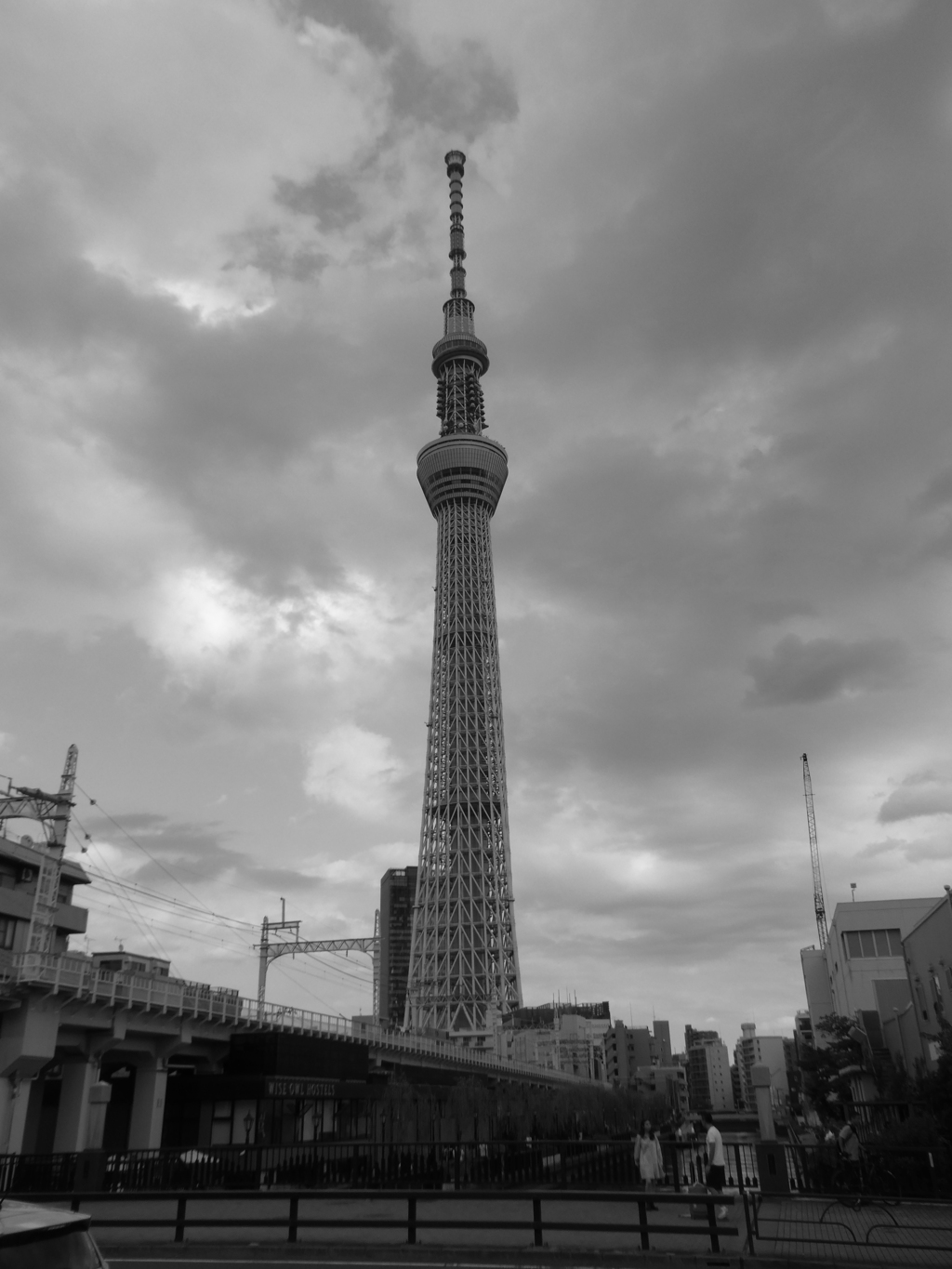 Skytree in monochrome