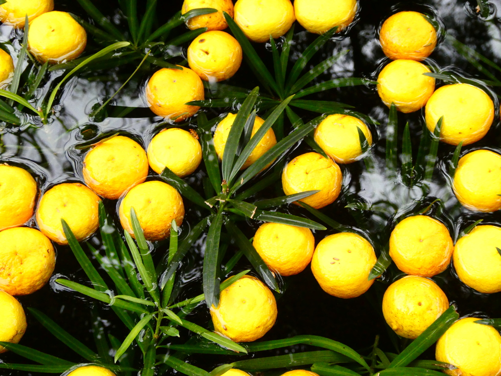 柚子の花手水