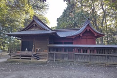 横から見た氷川女體神社