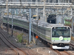 山手線E235系205系デザイン(2)
