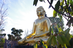 川崎大師釈尊像