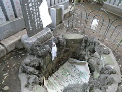富士山火口(を模したもの)