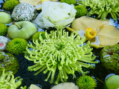 浮かぶ緑の花々