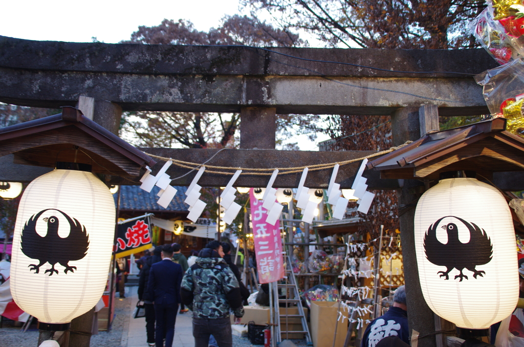 古い鳥居と提灯