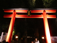 漆黒の闇に映える朱塗りの鳥居 漆黒の闇に映える朱塗りの鳥居
