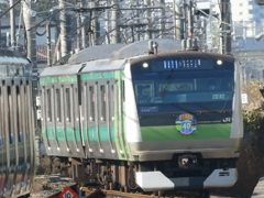 やっと会えた！記念電車(２)