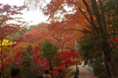 秩父御嶽神社の紅葉(８)