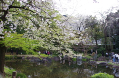 靖国神社神池庭園