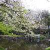 靖国神社神池庭園