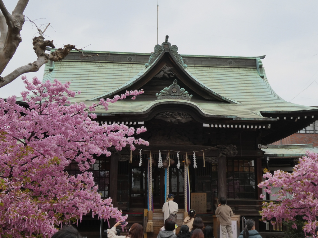 桜神宮