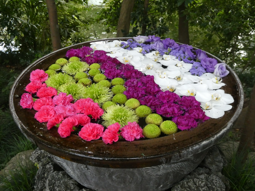 色とりどりの花手水