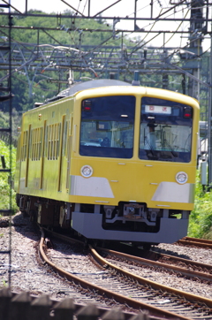 この路線がよく似合います