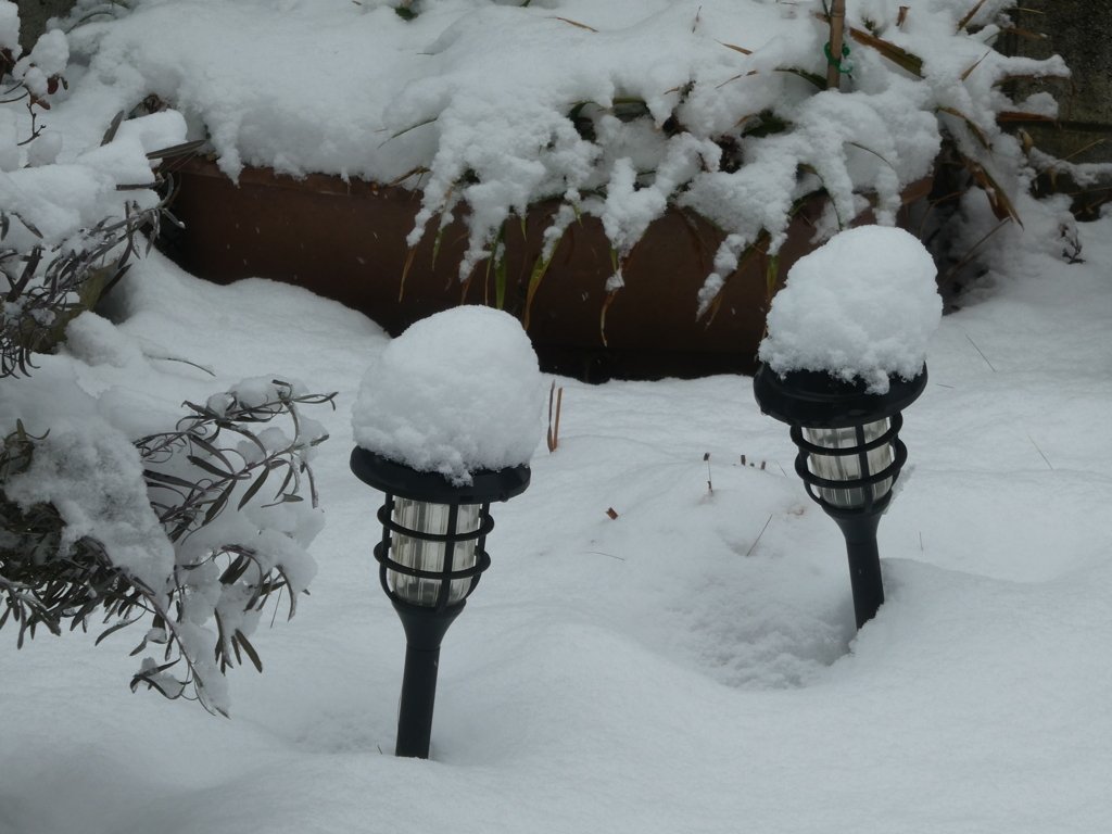 綿帽子かぶって・・・(３)