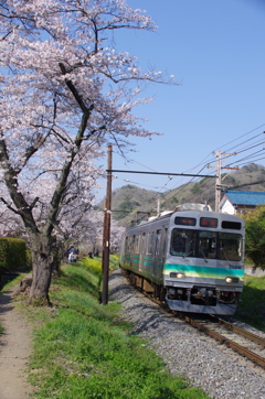 春の7500系(2)