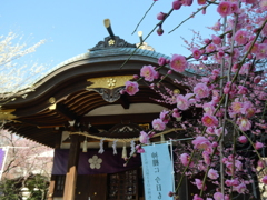 梅と牛天神北野神社