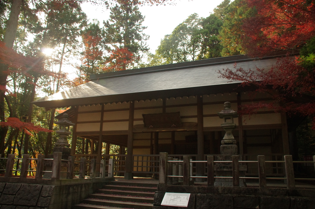 紅葉と秩父御嶽神社本殿(１)