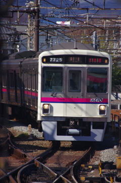 赤帯ではないですが・・・