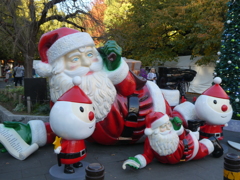 クリスマスまで寝てますか・・・