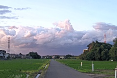 雲から龍(２)