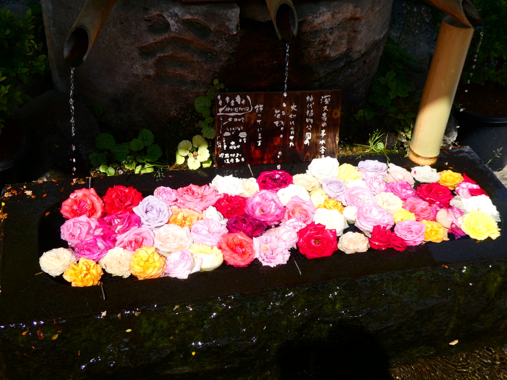 深大寺の花手水