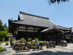 金泉寺