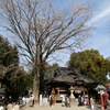 田無神社と御神木(2)