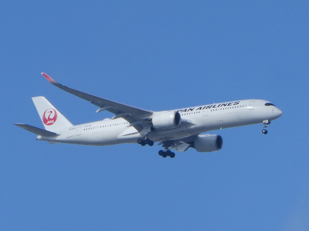 日本航空エアバスA350