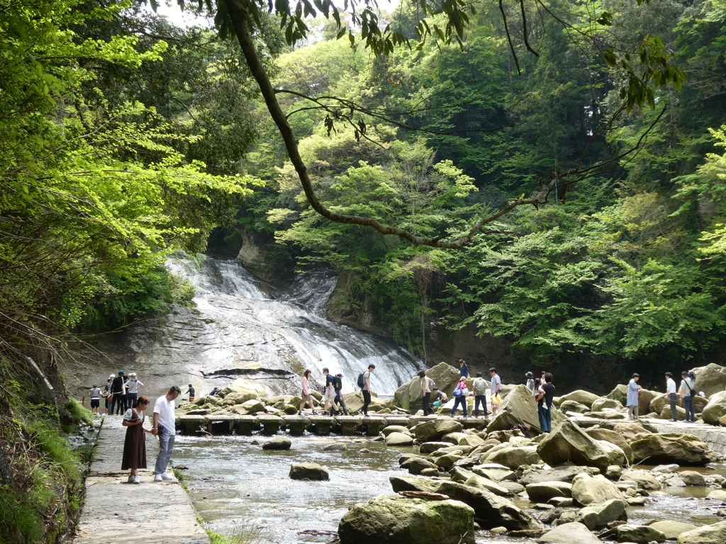 粟又の滝(5)