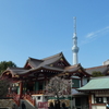 亀戸天神と梅とスカイツリー