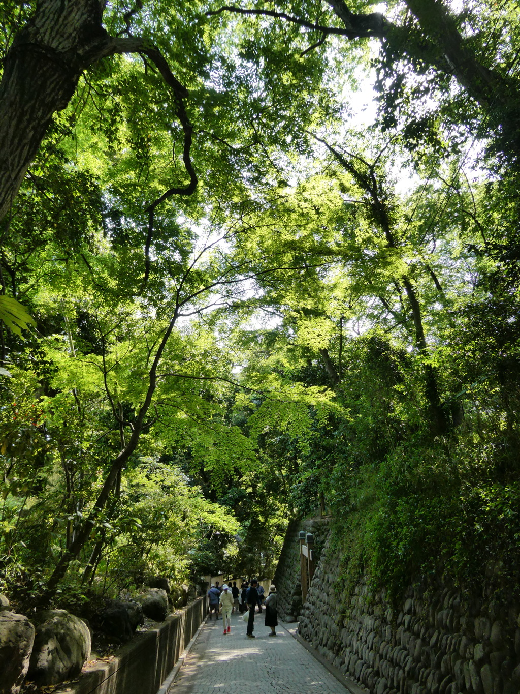 深大寺へ続く道