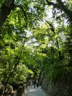 深大寺へ続く道