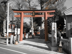 赤だけ残し