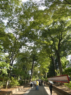 夏だか秋だかわからない・・・