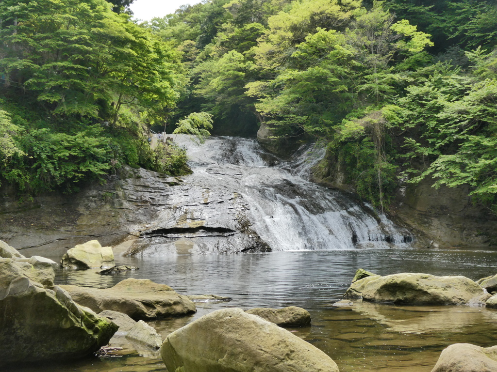粟又の滝(3)