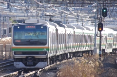 E231系上野東京ライン(1)