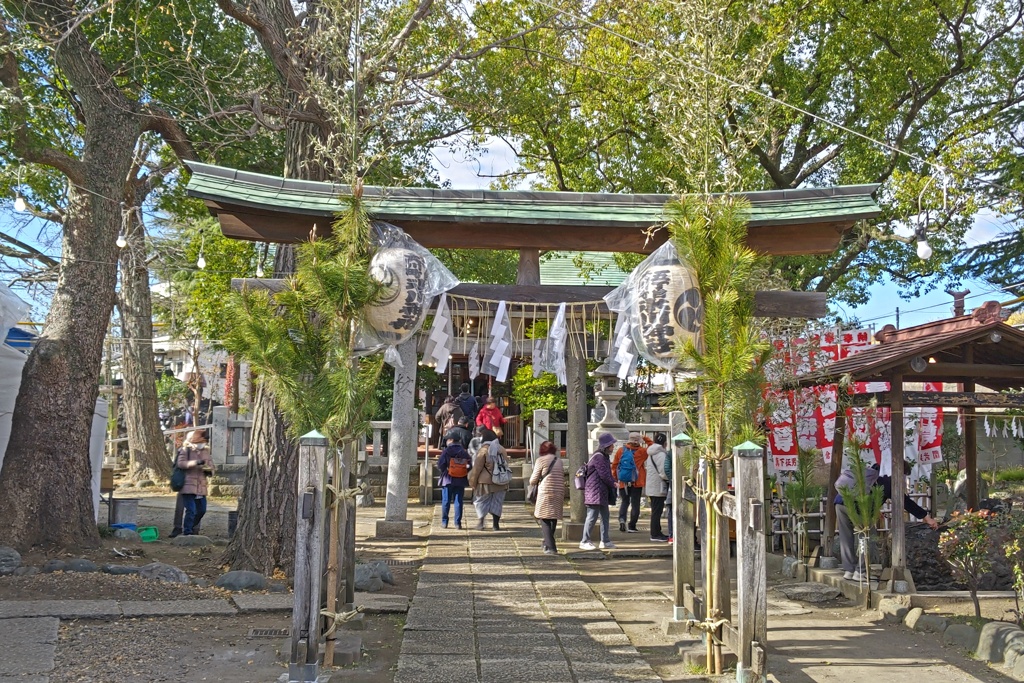 大川町氷川神社(鳥居)