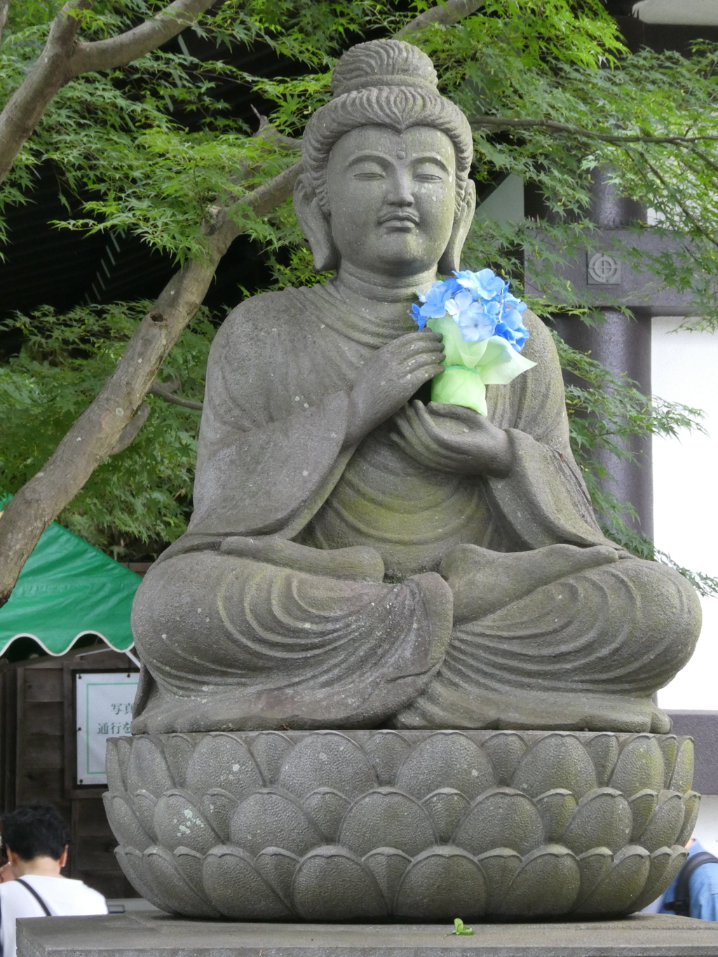 紫陽花を持つ仏様