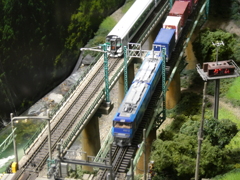 コンテナ列車と特急列車
