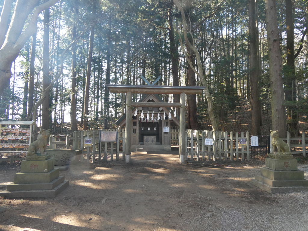 奥宮の森