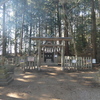奥宮の森