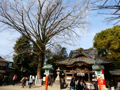 田無神社と御神木